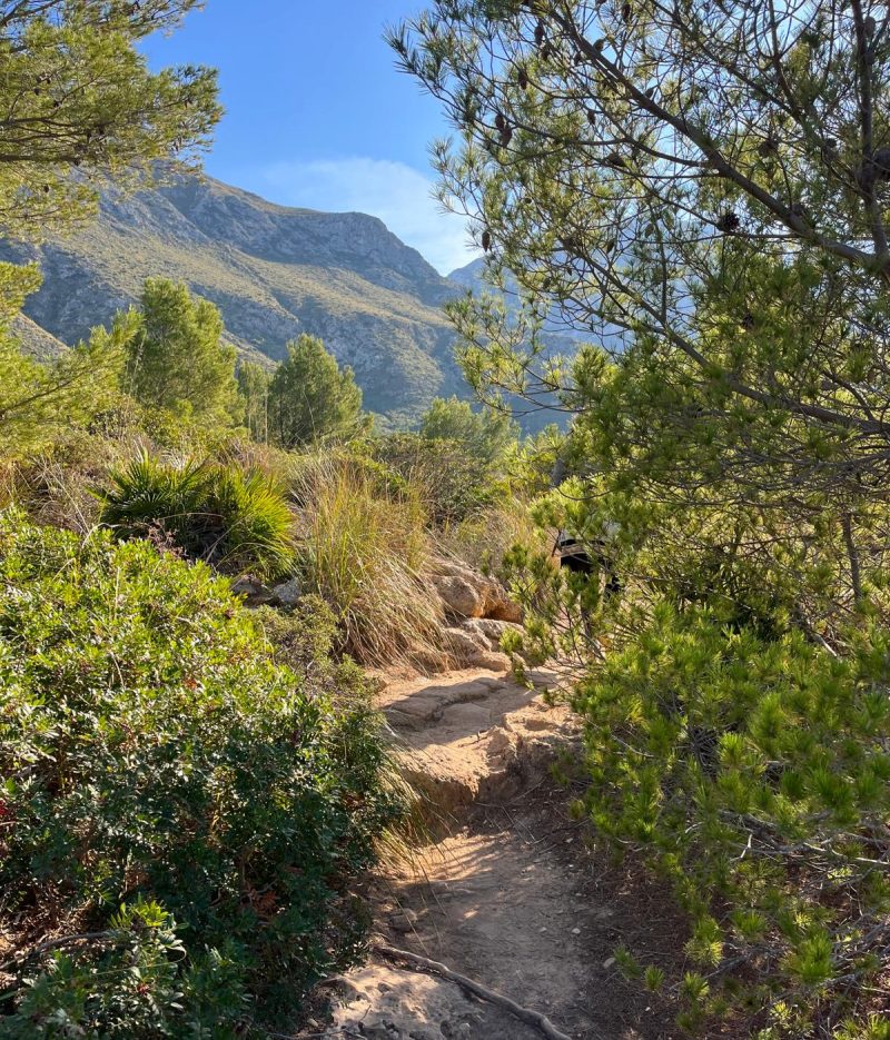 WhatsApp Image 2024-08-30 at 10.11.22