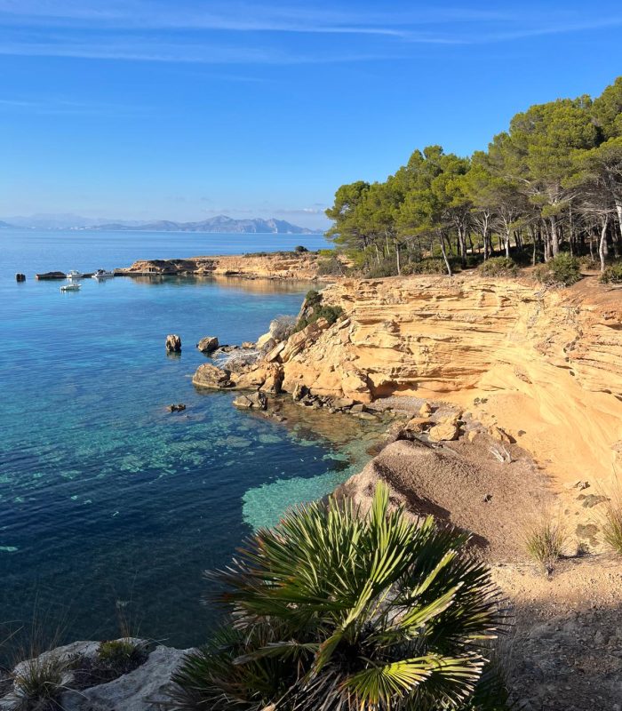 WhatsApp Image 2024-08-30 at 10.14.28