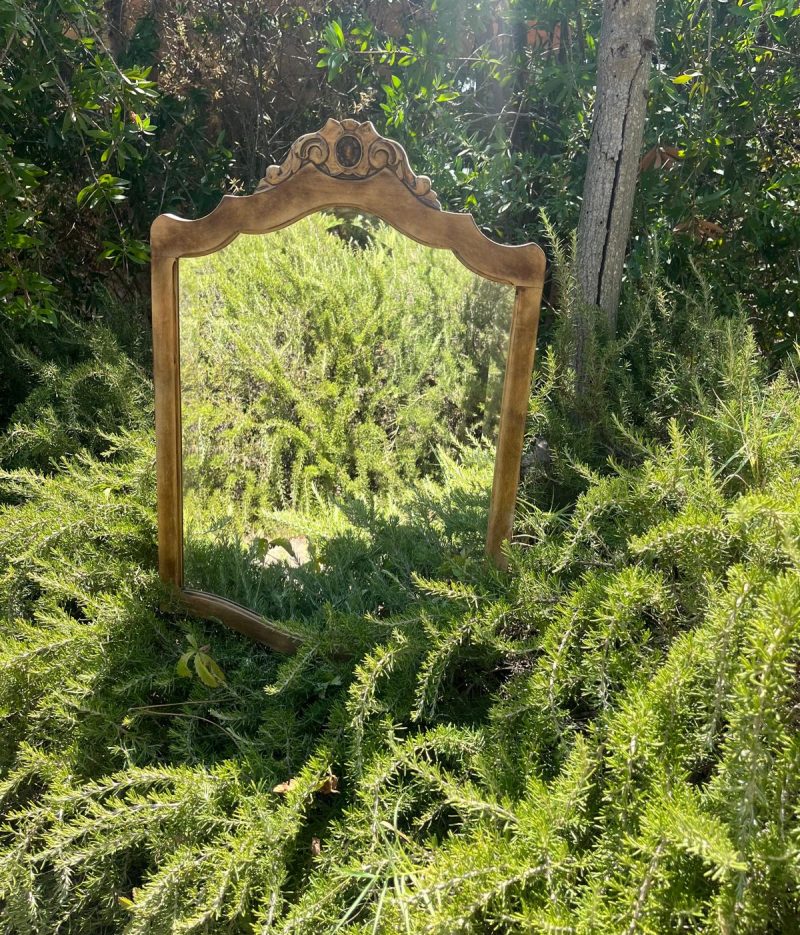 WhatsApp Image 2024-08-30 at 13.51.56 (1)