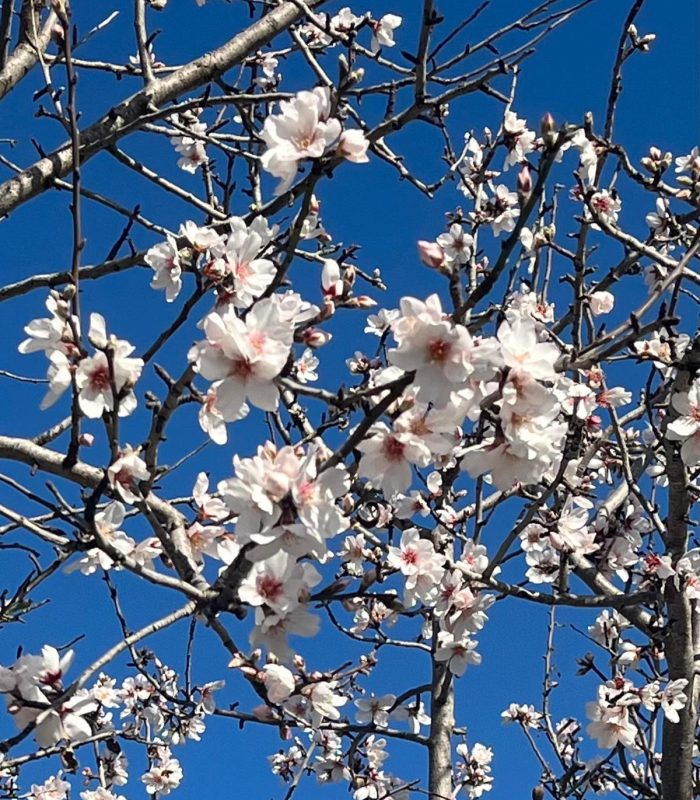 WhatsApp Image 2024-08-30 at 15.28.24